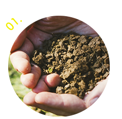 01.栽培に適した土作り