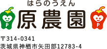 特別栽培にこだわった苦味の少ない甘いピーマンなら、茨城県神栖市の原農園