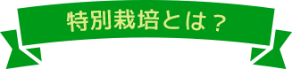 特別栽培とは